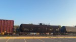 SOTX 1855